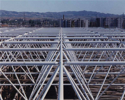 阜新梅雪啤酒廠包裝車間網(wǎng)架 阜新梅雪啤酒廠包裝車間網(wǎng)架